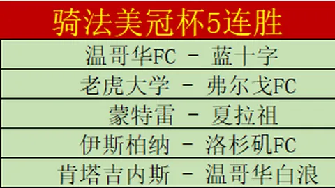 胡梅尔斯社交媒体致歉：失误终结欧联杯梦想之旅